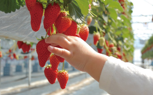 産業・観光の活性化に取り組みます！